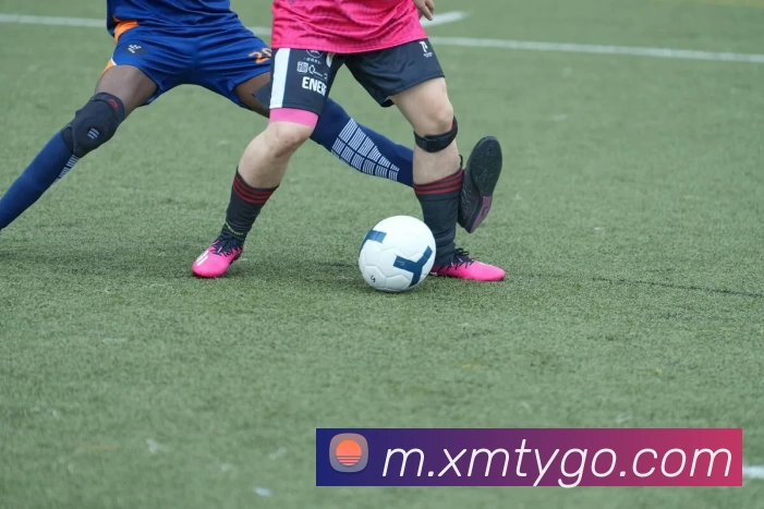 熊猫体育发展历程